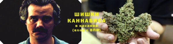 метамфетамин Белокуриха