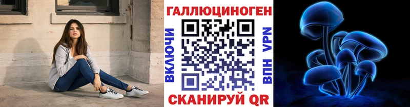 KRAKEN зеркало  Будённовск  Галлюциногенные грибы GOLDEN TEACHER  цена наркотик 